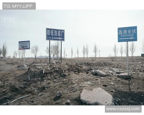 西安滑板队的转型之路与创新实践探讨 西安滑板队的转型之路与创新实践探讨