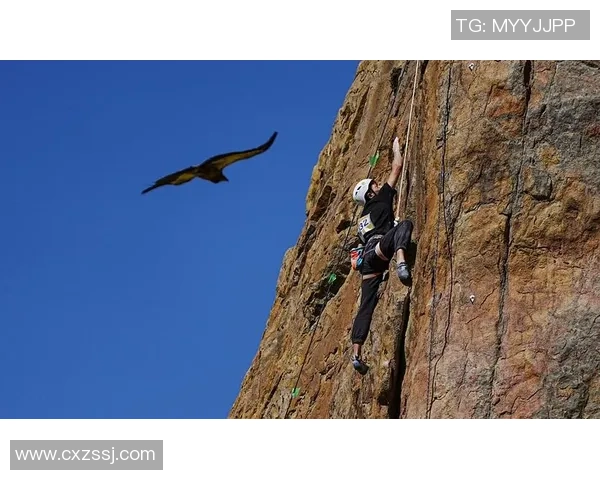 重庆攀岩队快攻打法深度解析与战术运用探讨